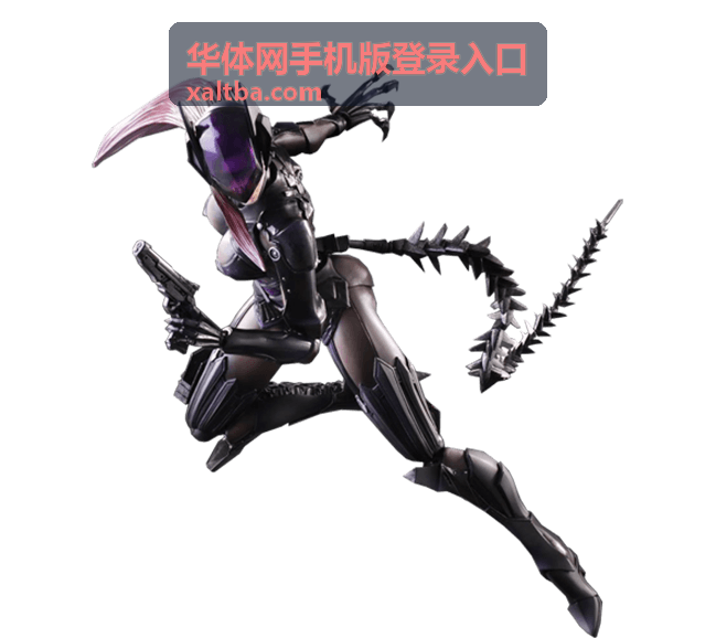 华体网手机版登录入口足球全场回放封面