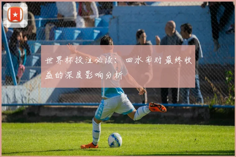世界杯投注必读:回水率对最终收益的深度影响分析