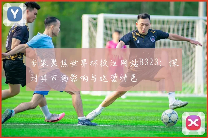 专家聚焦世界杯投注网站B323:探讨其市场影响与运营特色