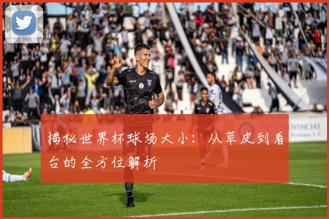 揭秘世界杯球场大小：从草皮到看台的全方位解析