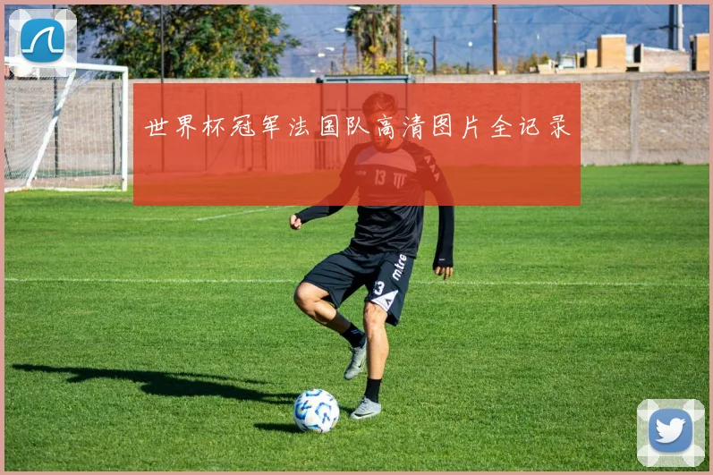 世界杯冠军法国队高清图片全记录
