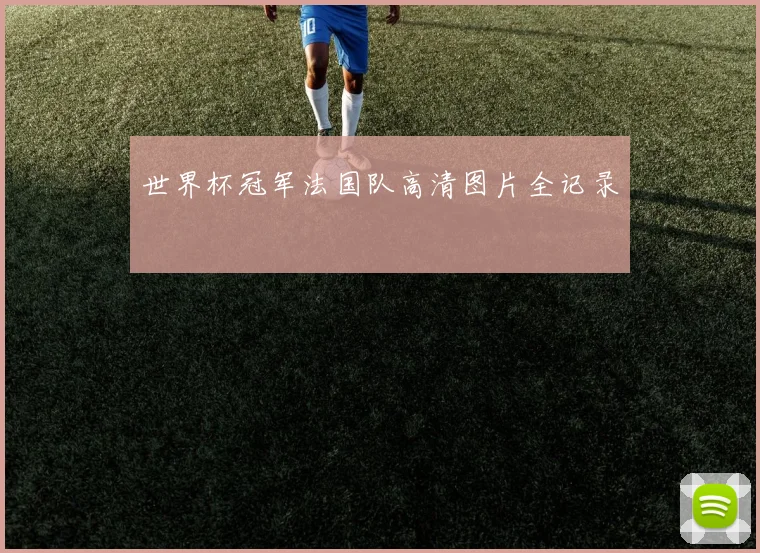 世界杯冠军法国队高清图片全记录