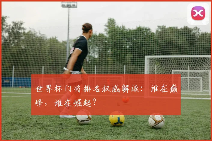 世界杯门将排名权威解读：谁在巅峰，谁在崛起？