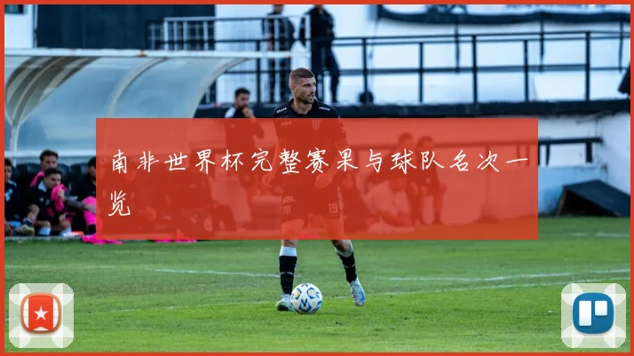 南非世界杯完整赛果与球队名次一览