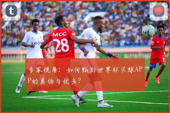 专家视角:如何甄别世界杯买球APP的真伪与优劣?