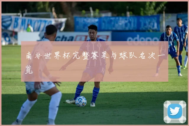 南非世界杯完整赛果与球队名次一览