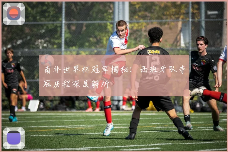 南非世界杯冠军揭秘：西班牙队夺冠历程深度解析