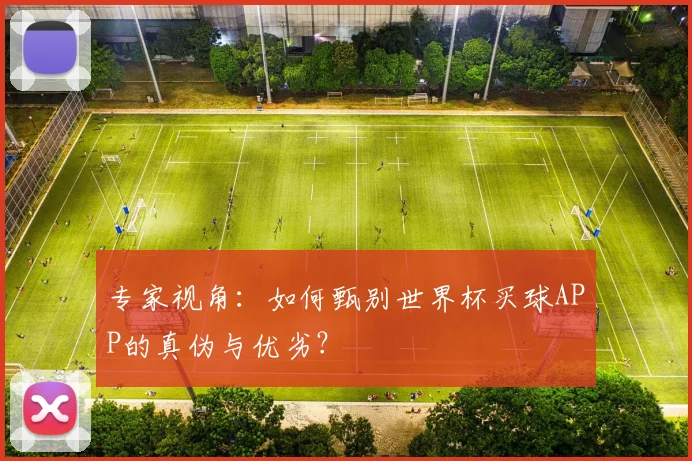 专家视角:如何甄别世界杯买球APP的真伪与优劣?