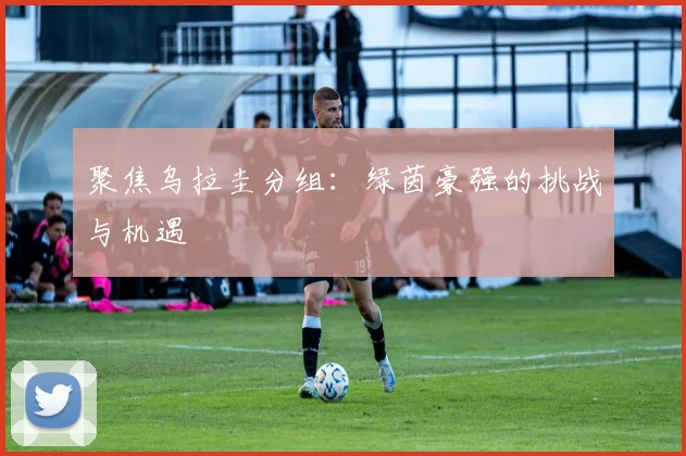 聚焦乌拉圭分组：绿茵豪强的挑战与机遇