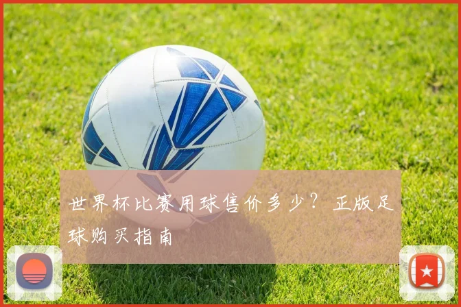 世界杯比赛用球售价多少？正版足球购买指南